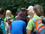tabor-ts-dance-2011-053_t.jpg