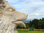 tabor-ts-dance-2011-060_t.jpg