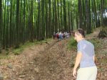 tabor-ts-dance-2011-112_t.jpg