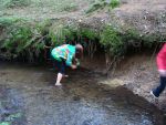 tabor-ts-dance-2011-189_t.jpg