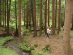 tabor-ts-dance-2011-238_t.jpg